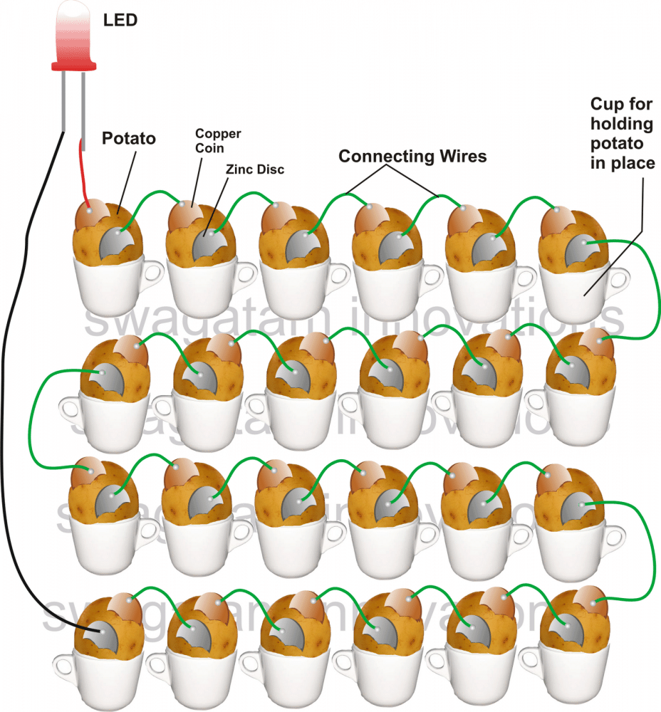 Potato Battery Circuit - Generating Electricity from Vegetables and Fruits